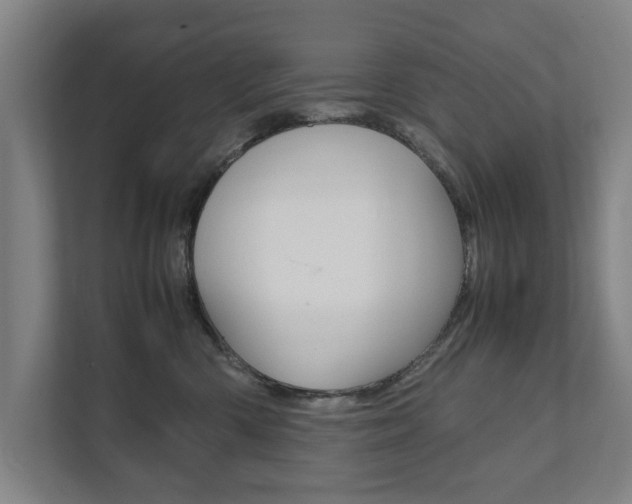 X0000111840426200907231043