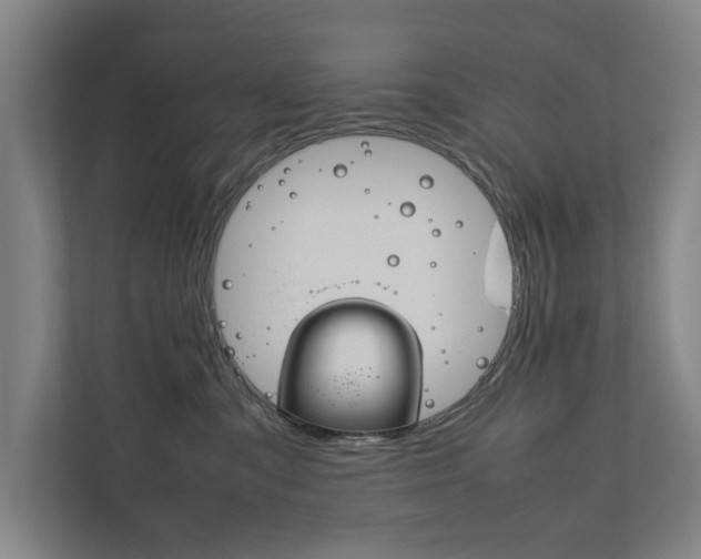 X0000111840427200907231043