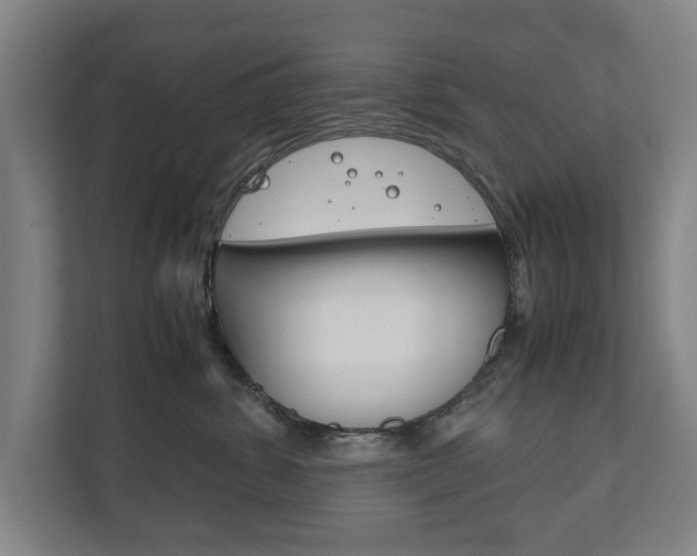 X0000111840428200907231043