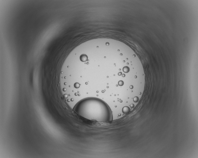 X0000111840429200907231043
