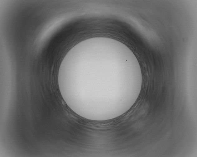 X0000111840431200907231043