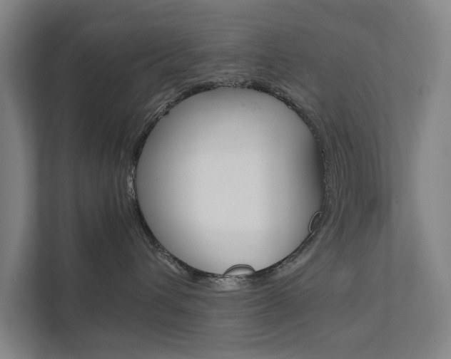 X0000111840432200907231043