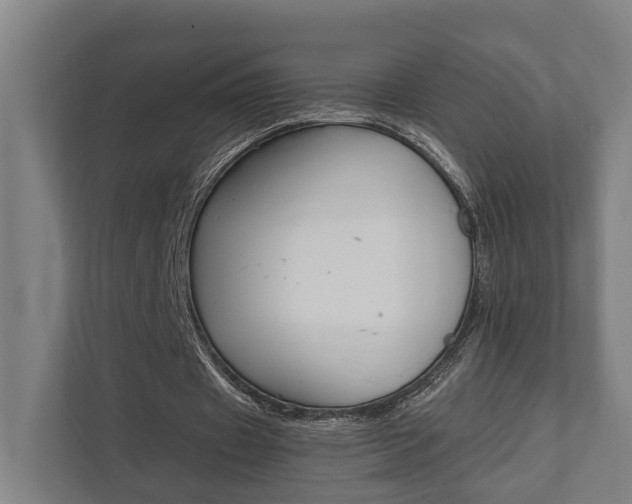 X0000111840433200907231042