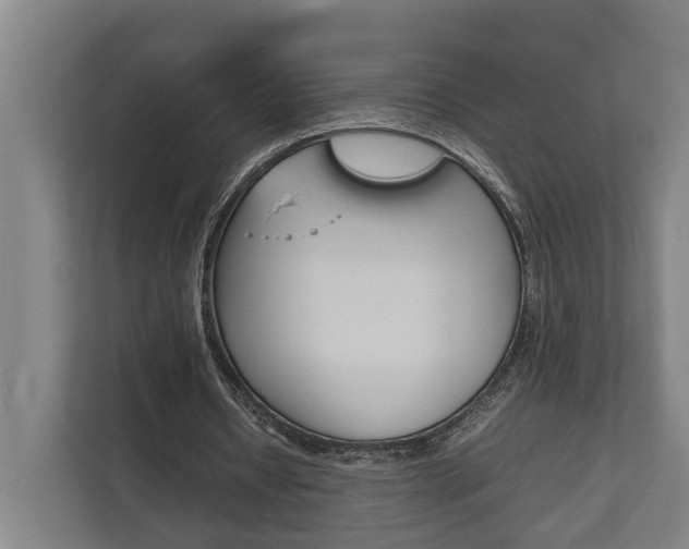 X0000111840434200907231042