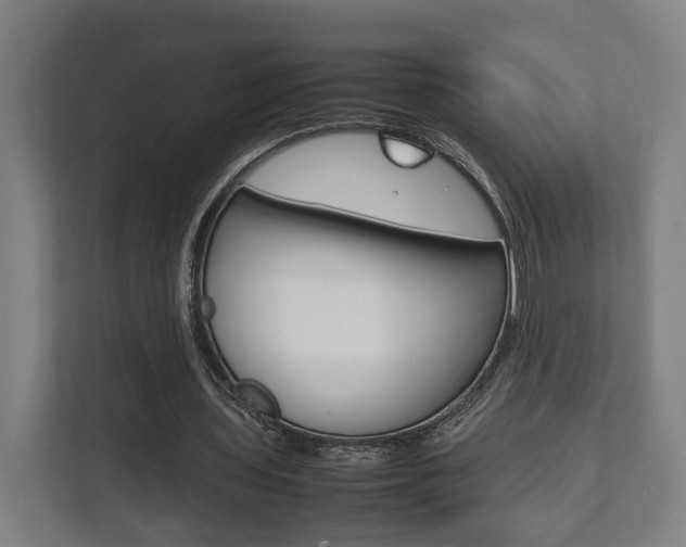 X0000111840435200907231042