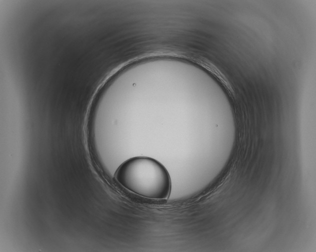 X0000111840436200907231042
