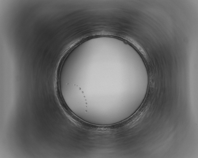 X0000111840437200907231042