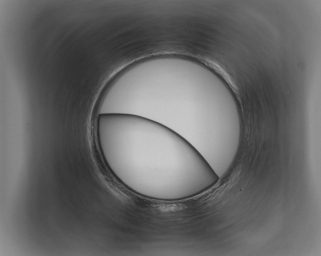 X0000111840439200907231042