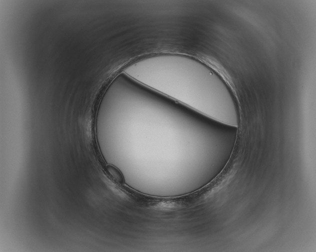 X0000111840441200907231042