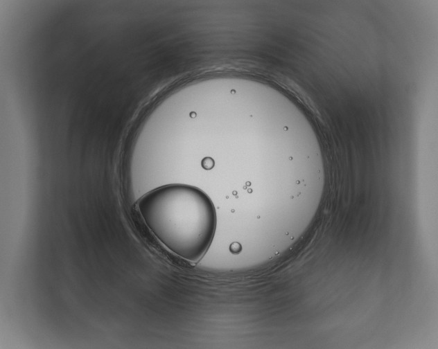 X0000111840444200907231042