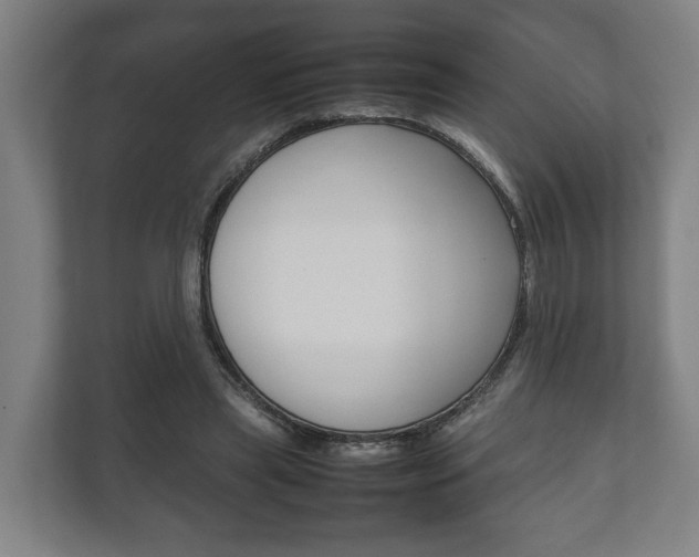 X0000111840445200907231042
