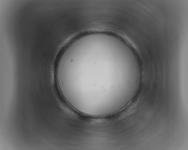X0000111840446200907231042