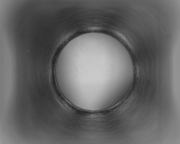 X0000111840447200907231042