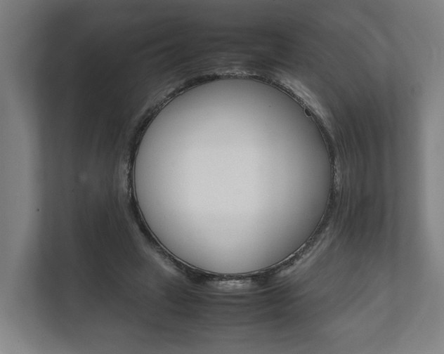 X0000111840449200907231042