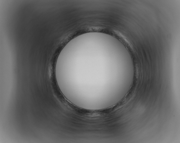 X0000111840451200907231042
