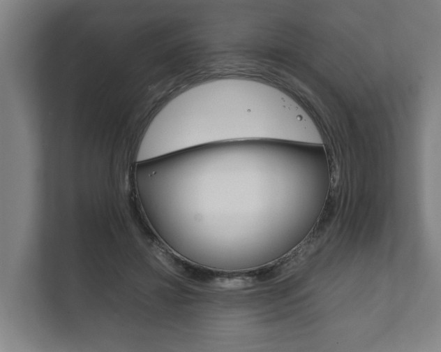 X0000111840452200907231042
