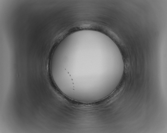 X0000111840454200907231042