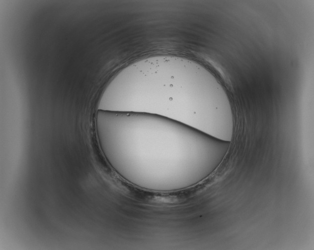 X0000111840455200907231042