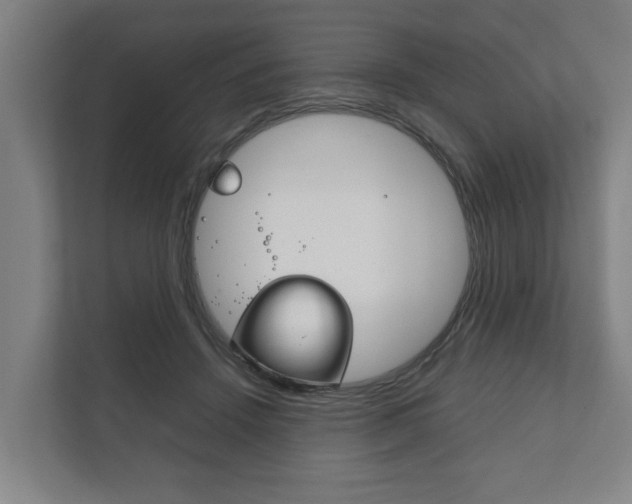 X0000111840456200907231042