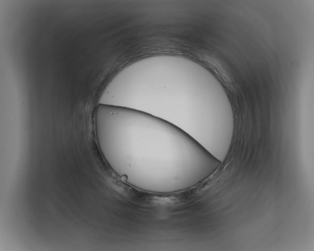 X0000111840457200907231042