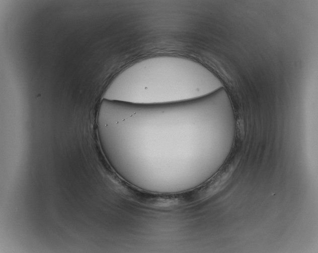 X0000111840458200907231042