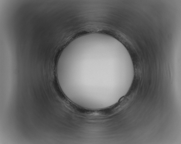 X0000111840460200907231042
