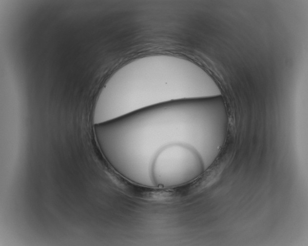 X0000111840462200907231042