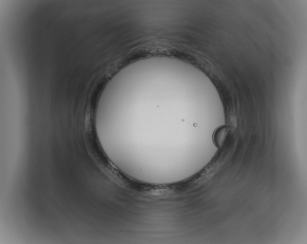 X0000111840468200907231043