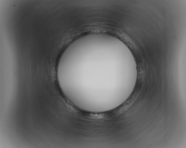 X0000111840469200907231043