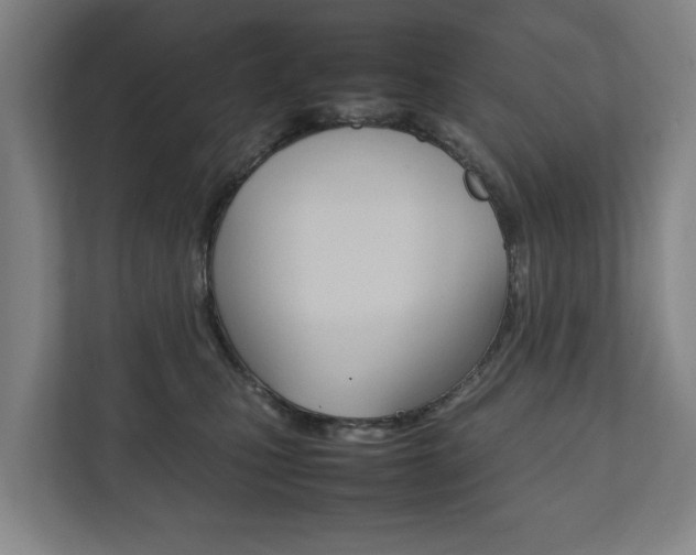 X0000111840471200907231043