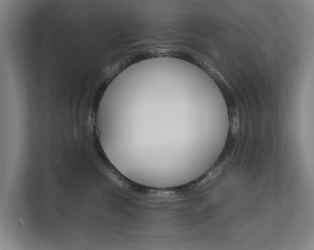 X0000111840476200907231043