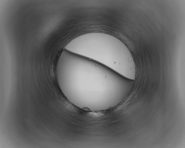 X0000111840477200907231043