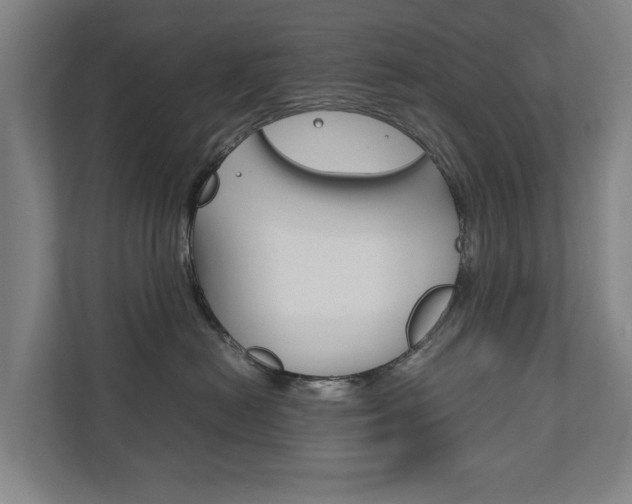 X0000111840478200907231043