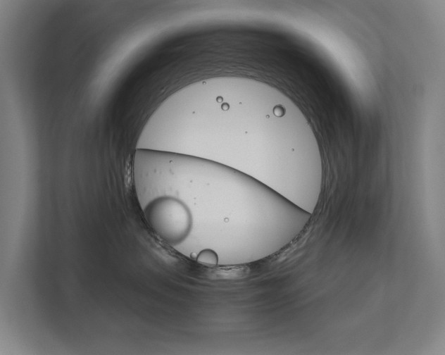 X0000111840479200907231043