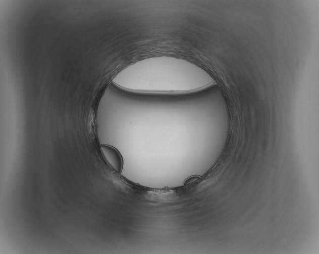 X0000111840480200907231043