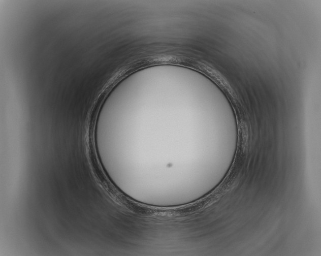 X0000111840482200907231042