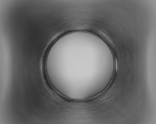 X0000111840483200907231042