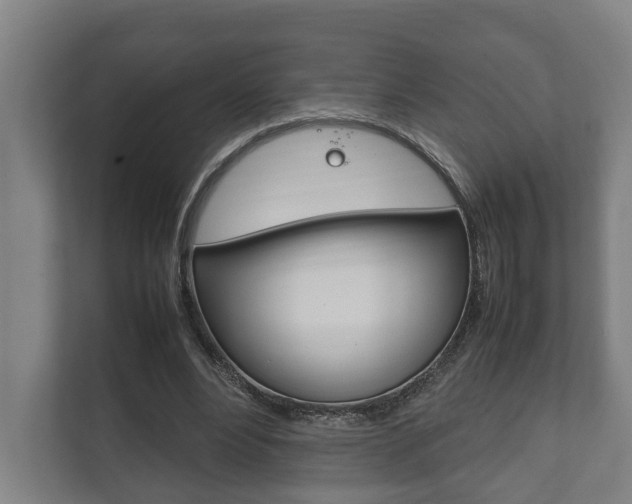 X0000111840488200907231042