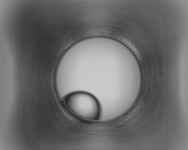 X0000111840489200907231042