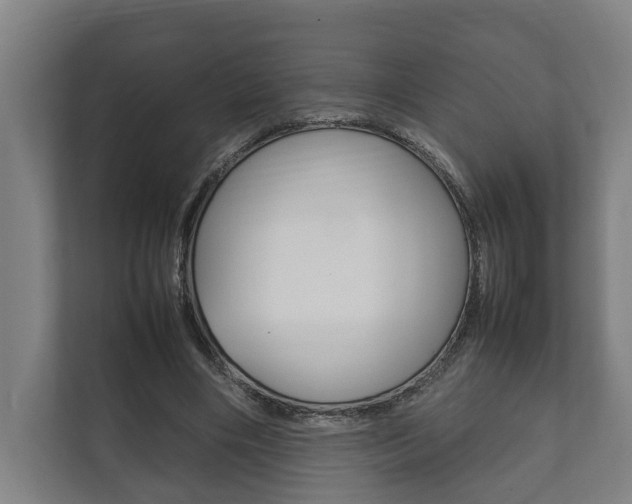 X0000111840490200907231042
