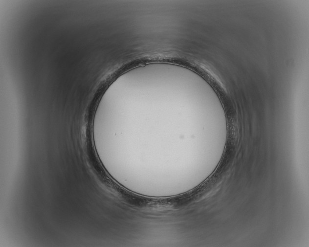 X0000111840491200907231042