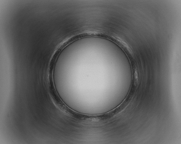 X0000111840492200907231042
