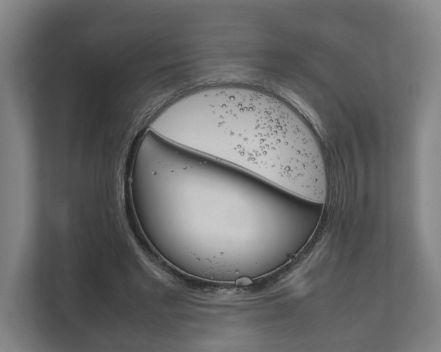 X0000111840493200907231042