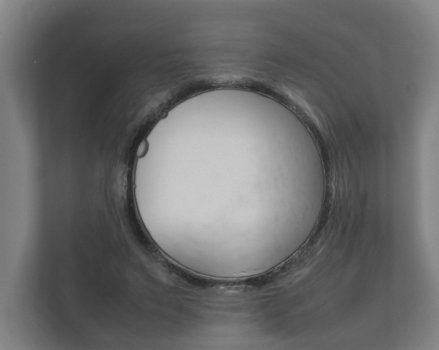 X0000111840495200907231042