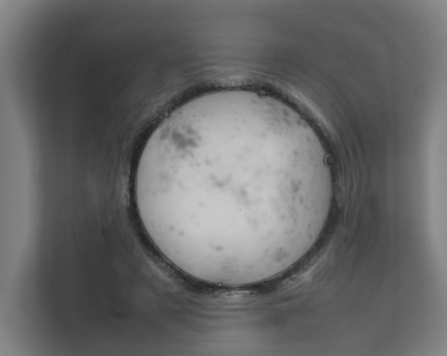 X0000111840497200907231042