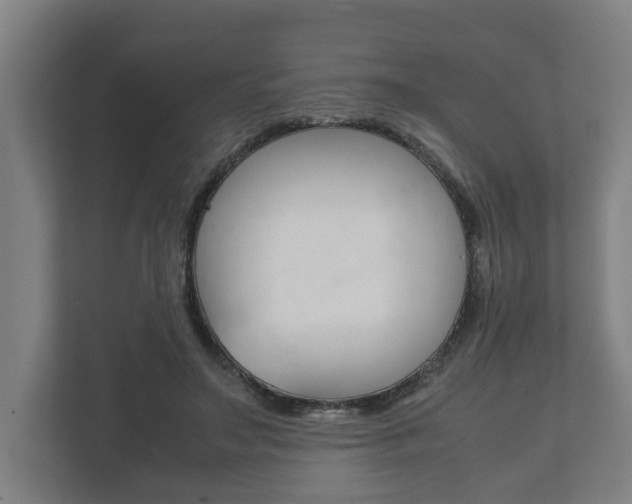 X0000111840499200907231042