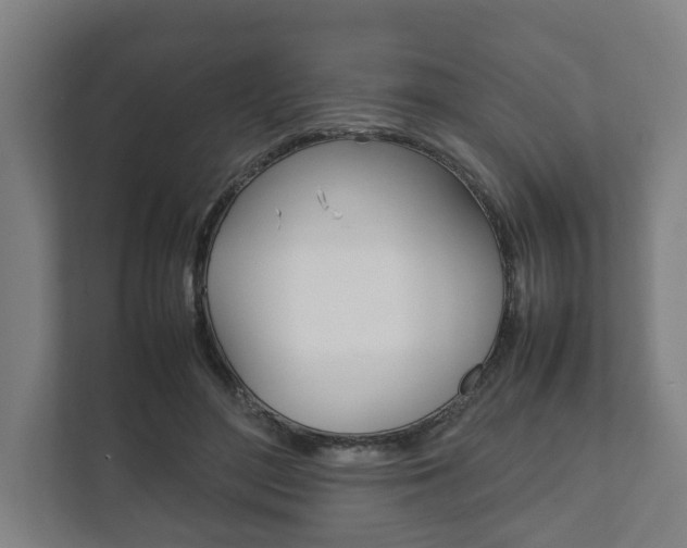 X0000111840500200907231042