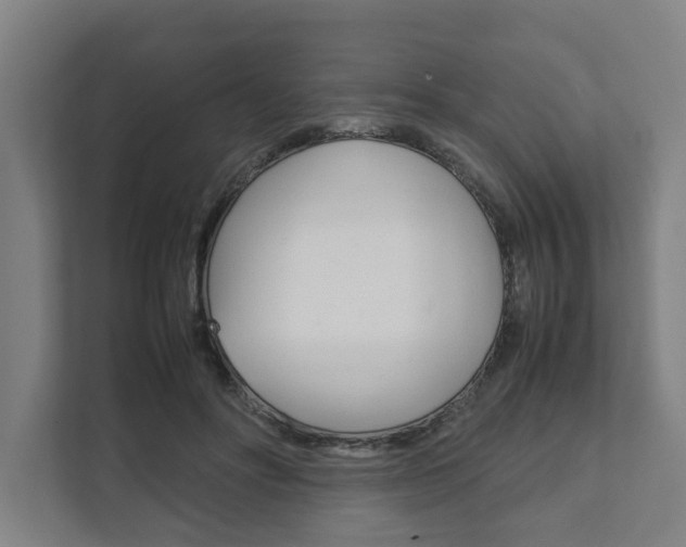 X0000111840502200907231042