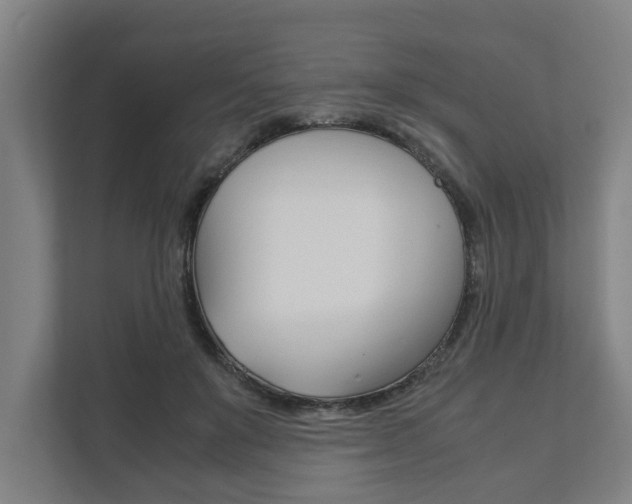 X0000111840503200907231042