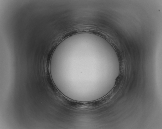 X0000111840504200907231042